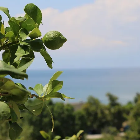 Sunday * Maries (Thasos)